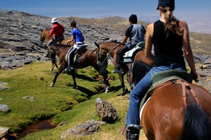 Horse riding in Andalucia - Andalucia Villas