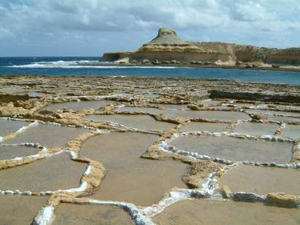 Salt Pans