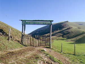 torr3-800