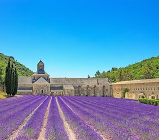 Both Cezanne and Van Gogh were drawn here because of the compelling natural light and unsurpassable natural beauty. And with stunning hilltop villages surrounded by acre after acre of flourishing orchards and blossoming vineyards, who are we to argue with the two great painter’s artistic flair to put the beauty of Luberon on canvass? Luberon is widely-acknowledged, admired and visited for its myriad of picturesque villages dotted sporadically amongst the hillsides. But with so many quaint and characterful villages at your disposal, which ones does the discerning Provencal traveller take the time to visit? You could start by visiting these three beauties: Cadenet, Goult and Murs. Cadenet Unlike many of Luberon’s quieter villages, Cadenet doesn’t go to sleep out of season. This fairly large village is situated on the southern side of the Luberon and is a great for those yearning to become acquainted with some traditional and lively Provencal culture. Asides its year-round activeness, Cadenet has many of the physical attributes synonymous with a paradisiacal Provencal village – a medieval castle sat at the crest of the town surrounded by an almost panoramic circle of pretty French houses. Naturally, the views from Cadenet are pretty spectacular, stretching across the Durance River out towards the Alpilles mountain range. Goult If you can manage to drag yourself from the many charms of Cadenet, Goult is equally as worth visiting. Despite being as captivating, Goult offers a significantly different day out to Cadenet. This stunningly-preserved village is sparsely visited, which, for many, adds to its appeal and unique magnetism. Some incredible architecture awaits you in Goult, including a 12 – 13th century Gothic/Romanesque church with many elaborate buttresses and arches and a 17th century castle that dominates the village. But what makes Goult truly unique are the restored stone agricultural terraces that lie beneath the village. These stone walls were erected by farmers to help combat the village’s hostile weather and keep Goult intact – the result? A landscape photographer’s or painter’s dream. Murs Which takes us to Murs, another beautifully unspoilt Luberon village. The saying goes that the writers’ favourite spot is Lourmarin, the artists’ Gordes, and those who are the wisest chose Murs, and kept it their secret. This pretty and peaceful village is almost concealed by a mask of fields. Like many of Luberon’s villages, Murs’ aesthetics is dominated by a castle. A 12th century castle can be found in Murs’ square, a favourite spot for locals and visitors to contemplate the incredible vista that envelopes this beautiful Luberon village.