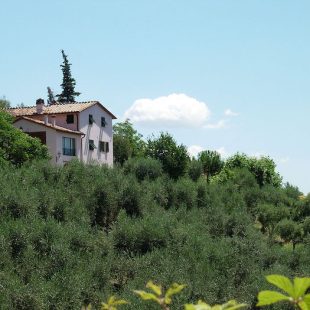 Villa near Lucca