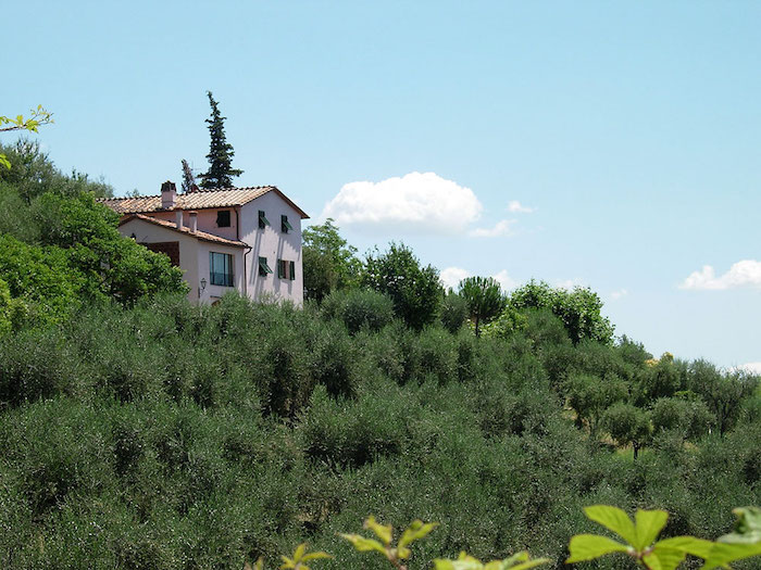 Villa near Lucca