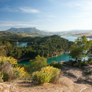 Spring in Andalucía