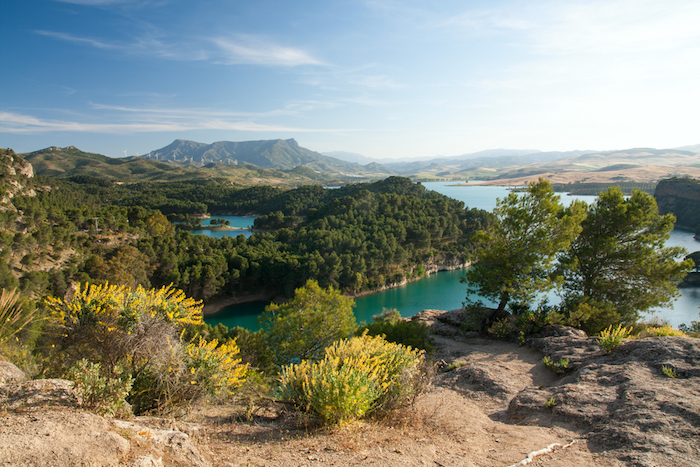 Spring in Andalucía