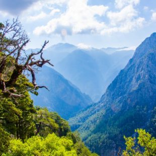 Samaria Gorge