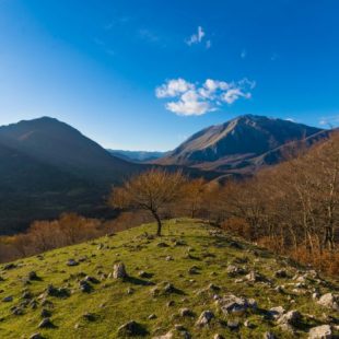 Parco Nazionale d'Abruzzo