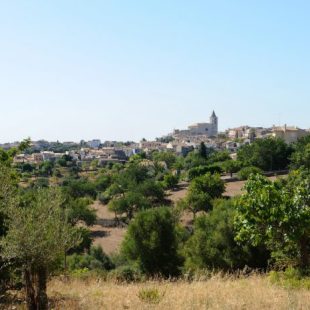 Campanet, Mallorca