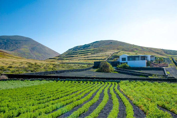 Villa La Acequia, Lanzarote