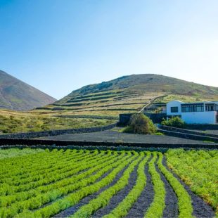 Villa La Acequia, Lanzarote