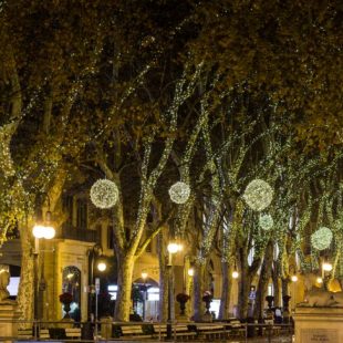 Spain Palma Majorca old town center at night, passeig des born, at Christmas.