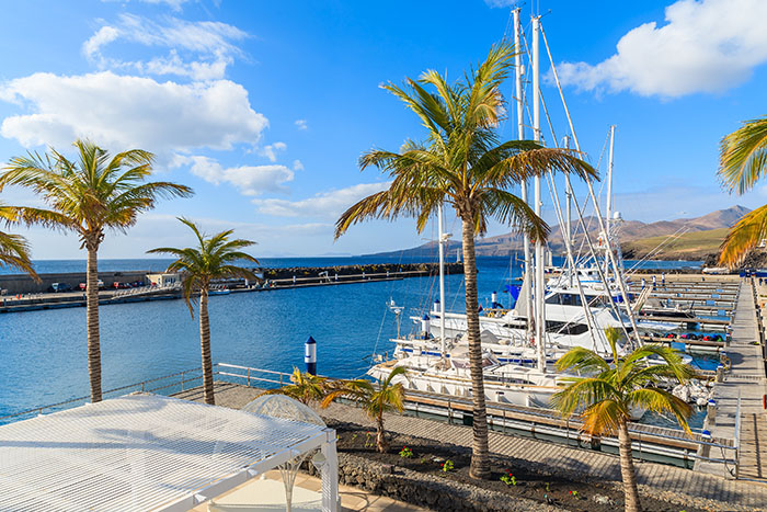 Palm trees in Puerto Calero