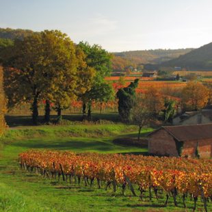 Automne en Vallée du Lot, Périgord