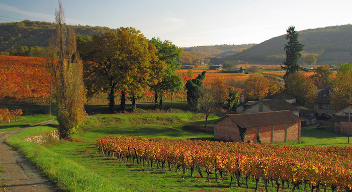 Automne en Vallée du Lot, Périgord