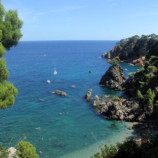 El Golfet beach in Calella de Palafrugell, Costa Brava