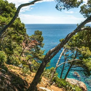 Cliffs of Cap Roig Botanical Garden, near Calella de Palafrugell