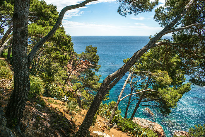 Cliffs of Cap Roig Botanical Garden, near Calella de Palafrugell