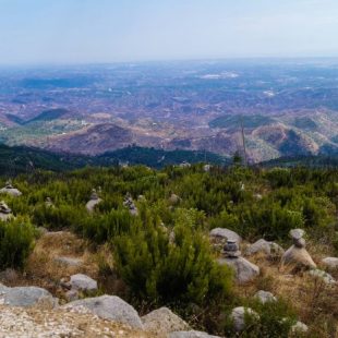 Serra de Monchique