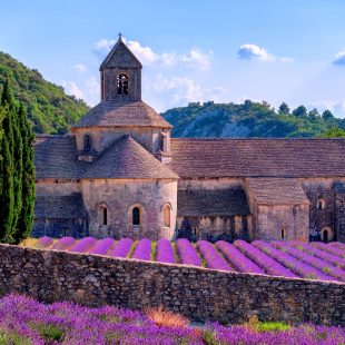 Discovering Provence’s breathtakingly beautiful Vaucluse