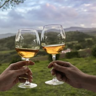 Three wineries in the Algarve ever wine connoisseur should head to