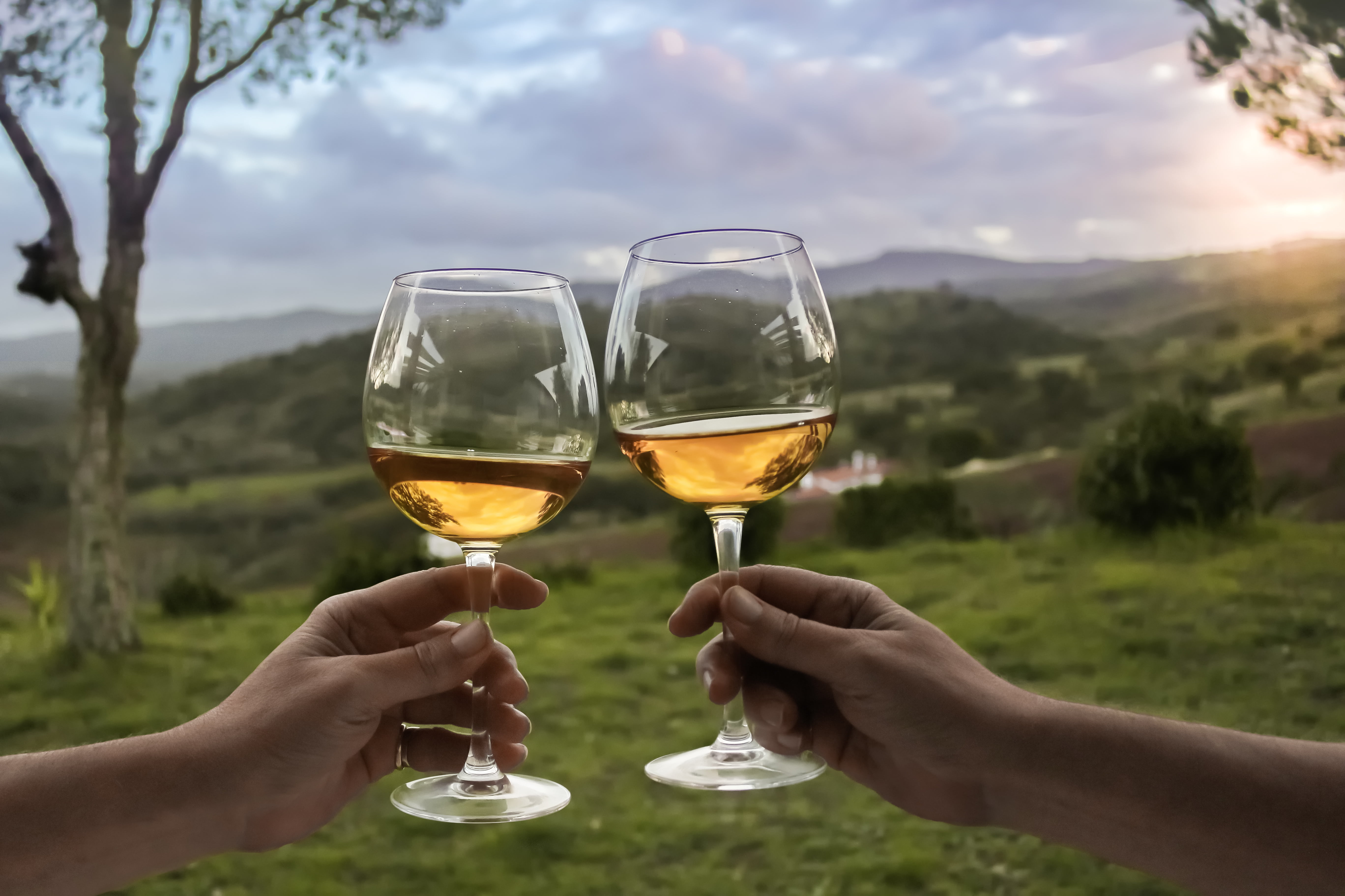 Three wineries in the Algarve ever wine connoisseur should head to