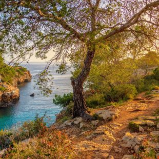 Why Mallorca makes the perfect autumn escape
