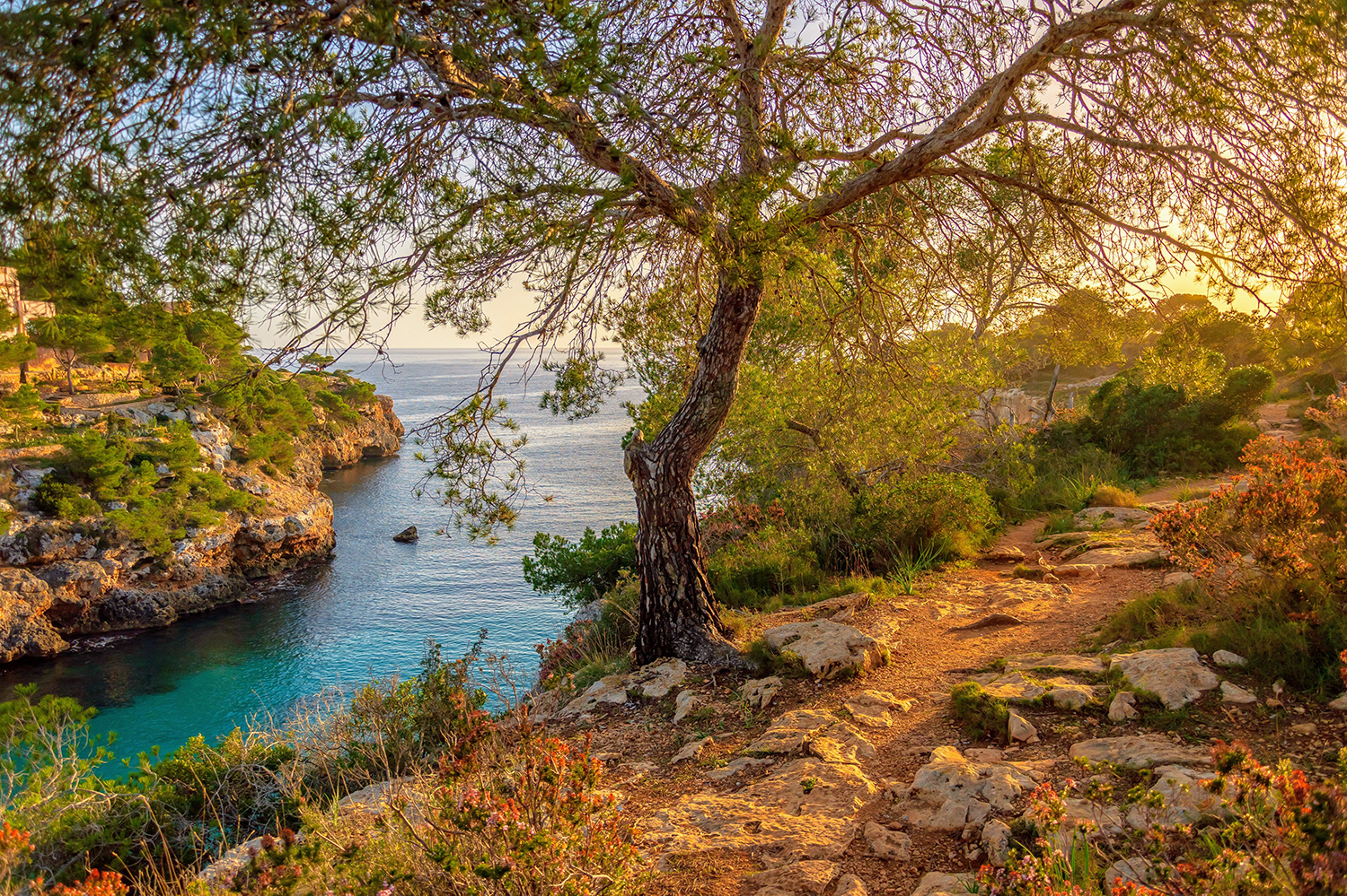 Why Mallorca makes the perfect autumn escape