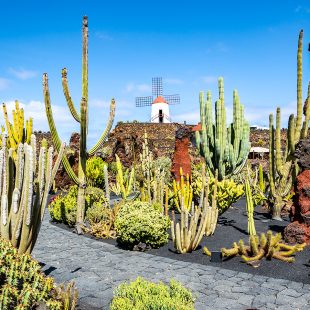 Discovering Guatiza in the northwestern corner of Lanzarote