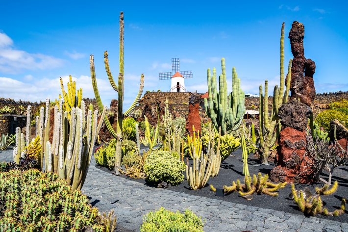 Discovering Guatiza in the northwestern corner of Lanzarote